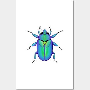 Beetle Posters and Art